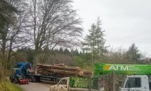 Sylvatica, entreprise d'abattage taille et élagage d'arbres